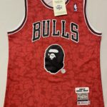 NBAJE2601-02-029 Chicago Bulls Basketball Jersey 029 USD12.98